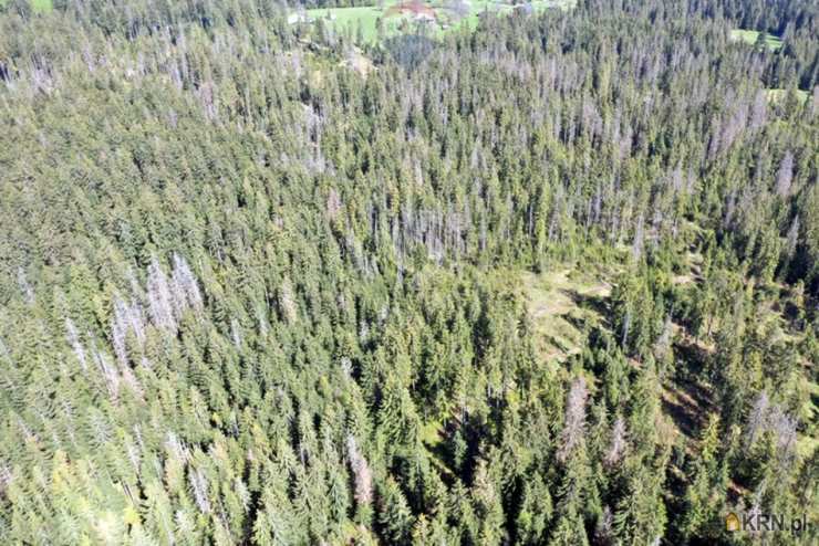 Zakopane, ul. , Działki  na sprzedaż, 