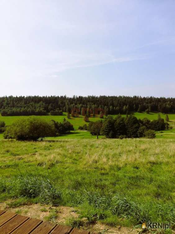 Czarna Góra, ul. , Działki  na sprzedaż, 