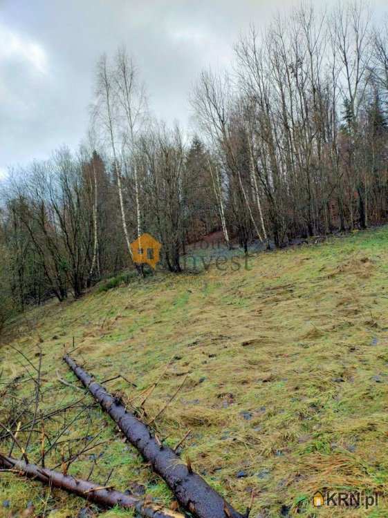 , Działki  na sprzedaż, Ochotnica Dolna, ul. 