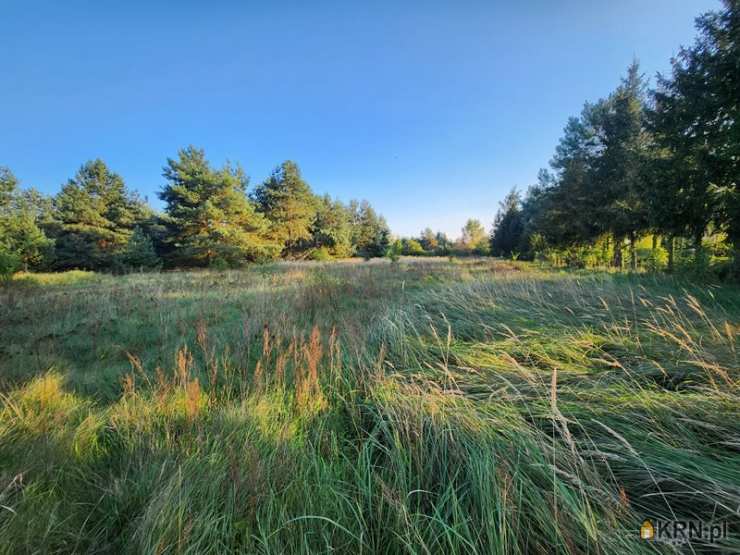 Przybyszewo, ul. Henrykowska, , Działki  na sprzedaż