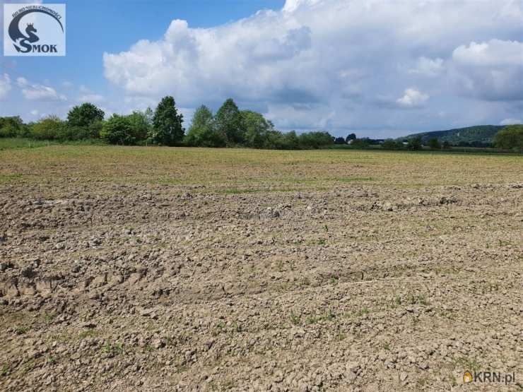 Kłokoczyn, ul. , Działki  na sprzedaż, 