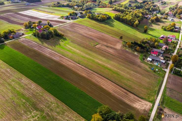 RE/MAX Polska, Działki  na sprzedaż, Krępa, ul. 