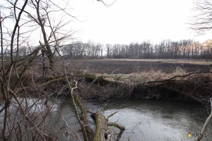 Działki  na sprzedaż, Pełcznica, ul. , 