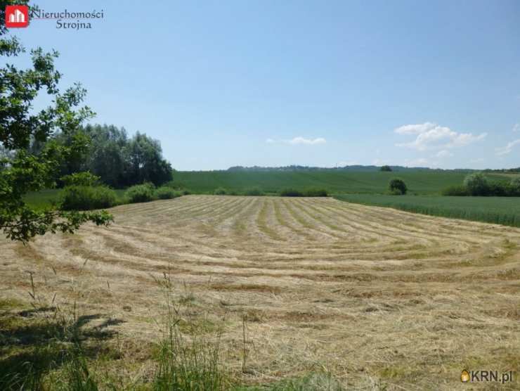 Szczygłów, ul. , Działki  na sprzedaż, 