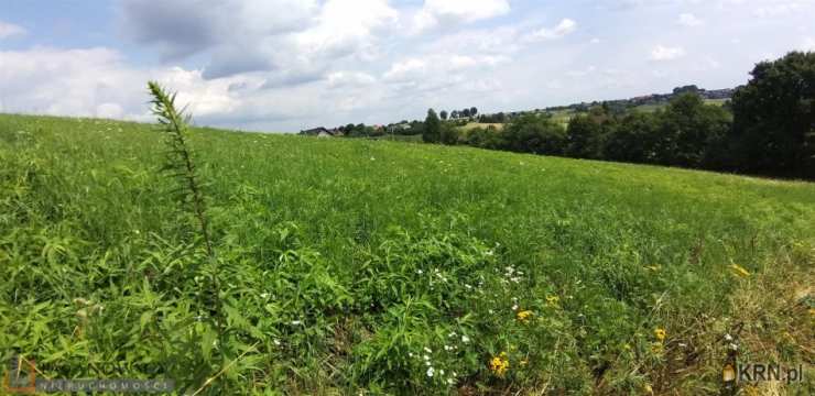 Działki  na sprzedaż, Wierzchowie, ul. , 