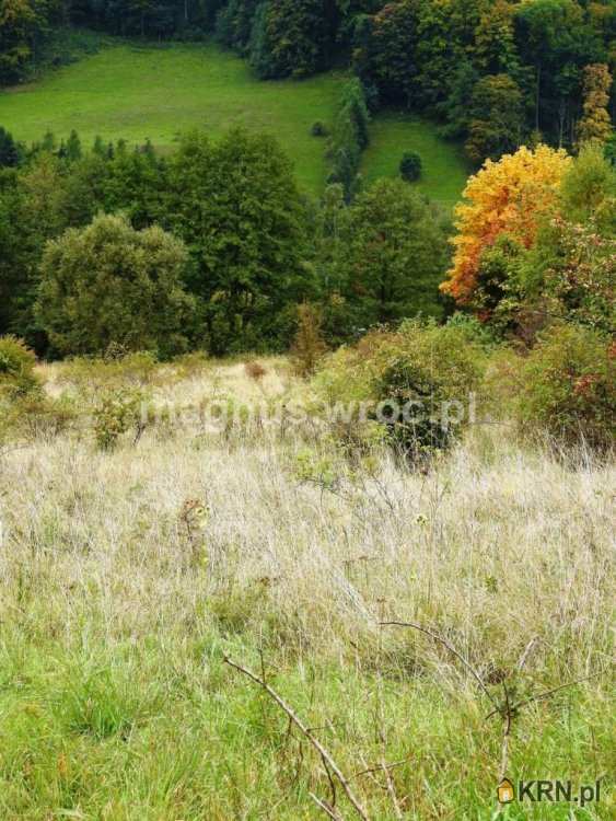 Łomnica, ul. , Działki  na sprzedaż, 