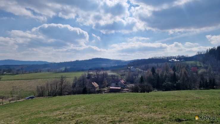 Zagórze Śląskie, ul. , , Działki  na sprzedaż