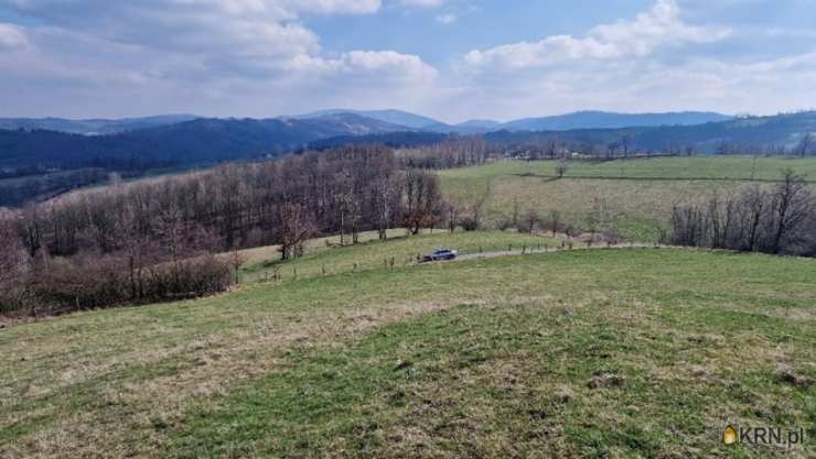 Zagórze Śląskie, ul. , , Działki  na sprzedaż