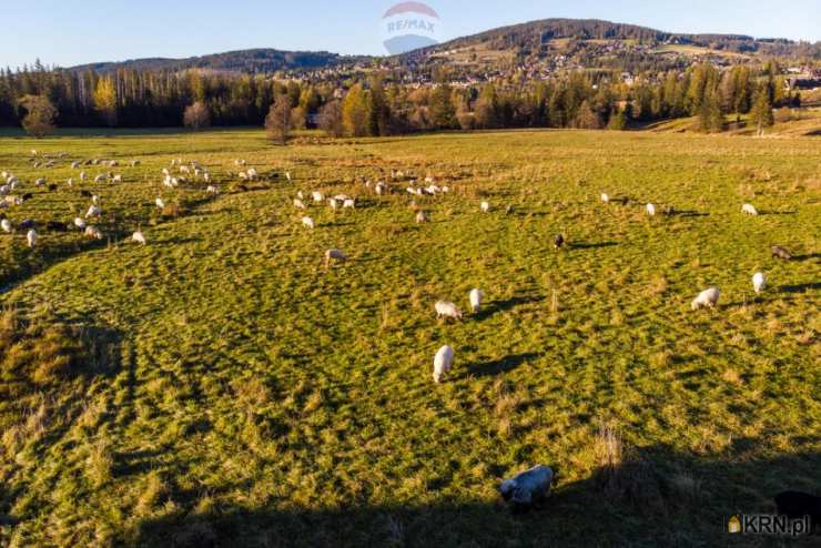 Kościelisko, ul. , Działki  na sprzedaż, 