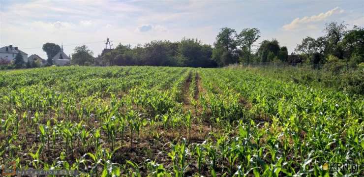 Będkowice, ul. , Działki  na sprzedaż, 