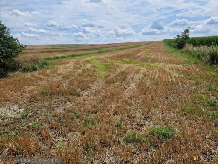 Działki  na sprzedaż, Poskwitów, ul. , 