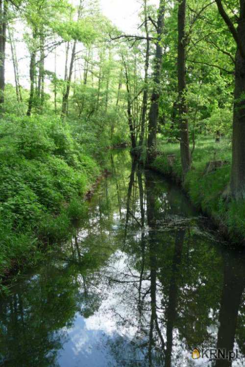 Świdnica, ul. , Działki  na sprzedaż, 