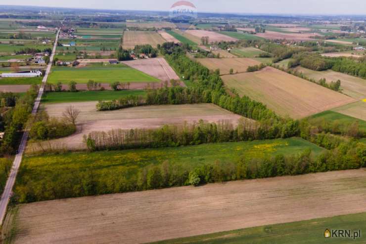 Besiekierz Rudny, ul. , , Działki  na sprzedaż