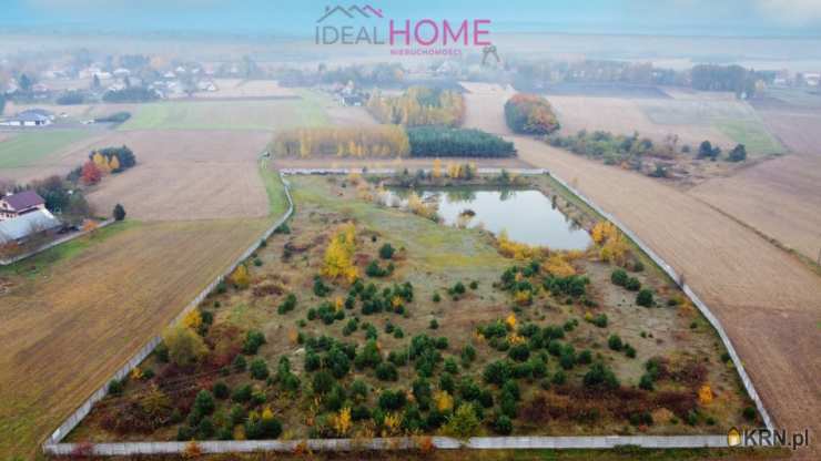  Ideal Home Nieruchomości , Działki  na sprzedaż, Wola Buchowska, ul. 