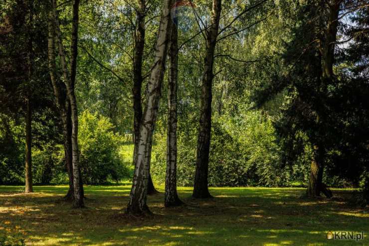 Działki  na sprzedaż, Pruchna, ul. , 