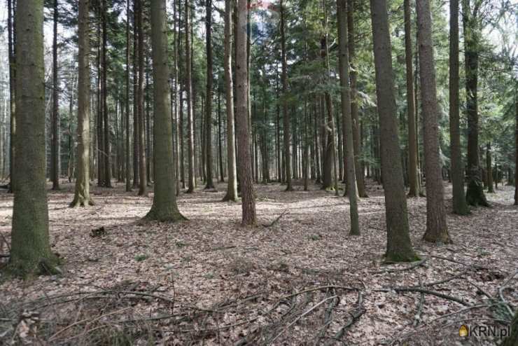 , Budzów, ul. , Działki  na sprzedaż