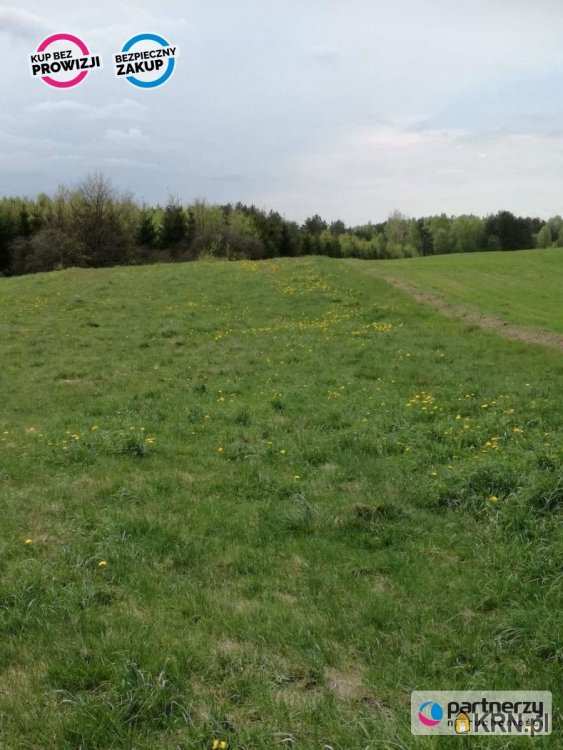 , Kamienica Szlachecka, ul. Leśna, Działki  na sprzedaż