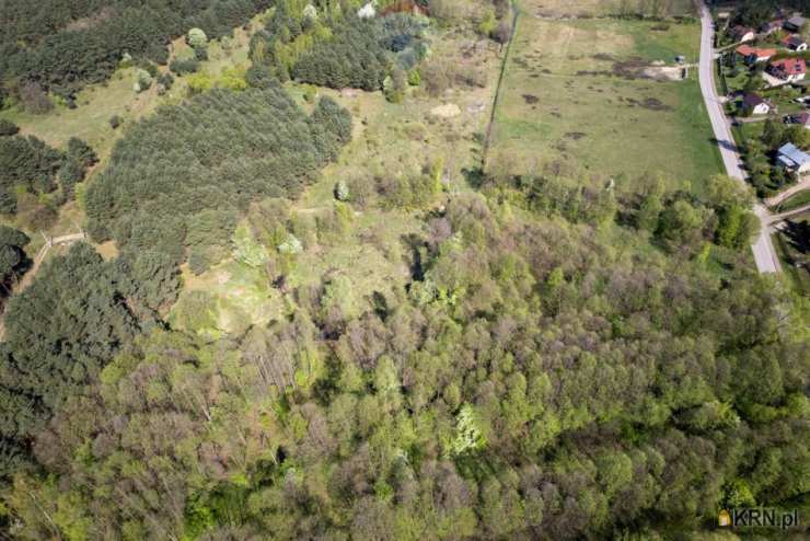 Działki  na sprzedaż, Skrzeszew, ul. , 