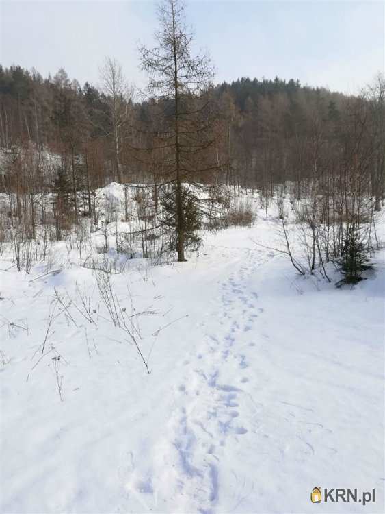 Boguszów-Gorce, ul. , , Działki  na sprzedaż