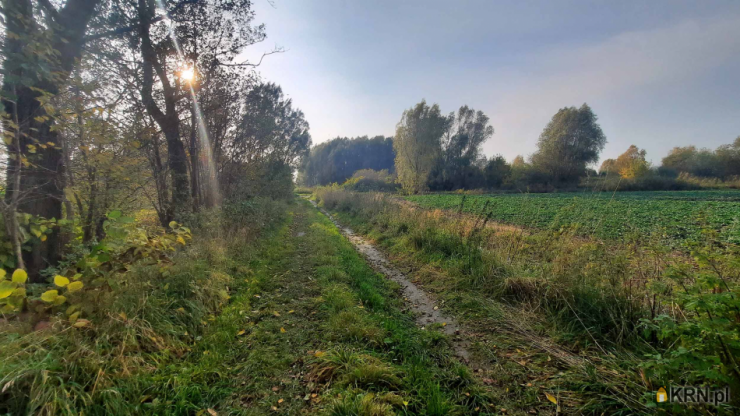 Elbląg, Nowe Pole, ul. ul. Skrzydlata, , Działki  na sprzedaż