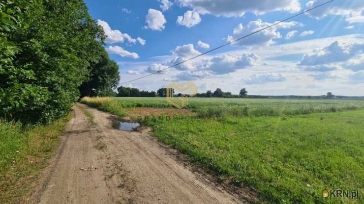 Działki  na sprzedaż, , Mała Nieszawka, ul. 