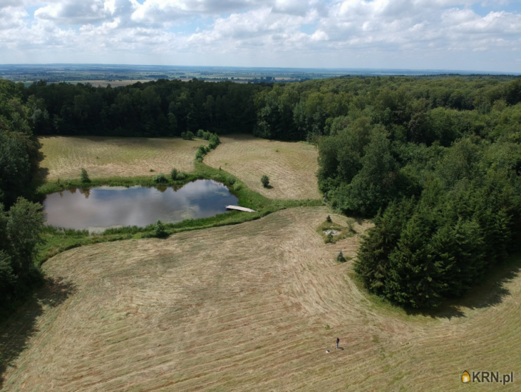 Rogowo, ul. , Działki  na sprzedaż, 