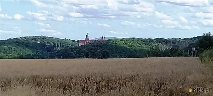 Cieszów, ul. , Działki  na sprzedaż, 