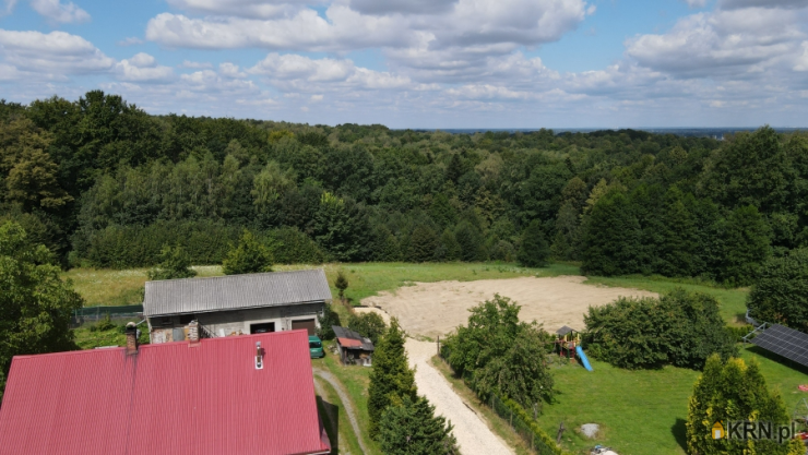 , Działki  na sprzedaż, Pisarzowice, ul. Leśna