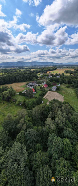 Pisarzowice, ul. Leśna, Działki  na sprzedaż, 