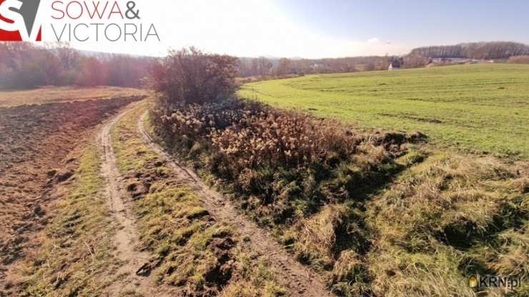 Wałbrzych, Lubiechów, ul. , Działki  na sprzedaż, 