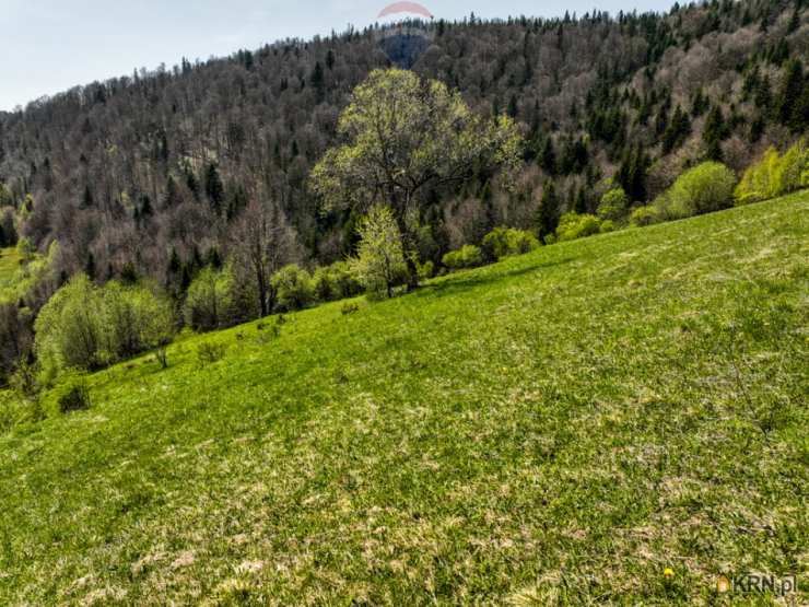 Ochotnica Górna, ul. , Działki  na sprzedaż, 