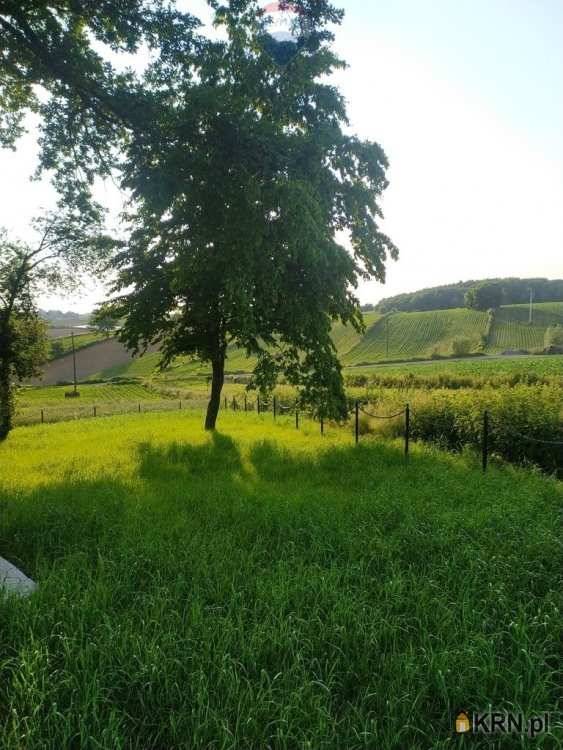 Działki  na sprzedaż, Stręgoborzyce, ul. , 