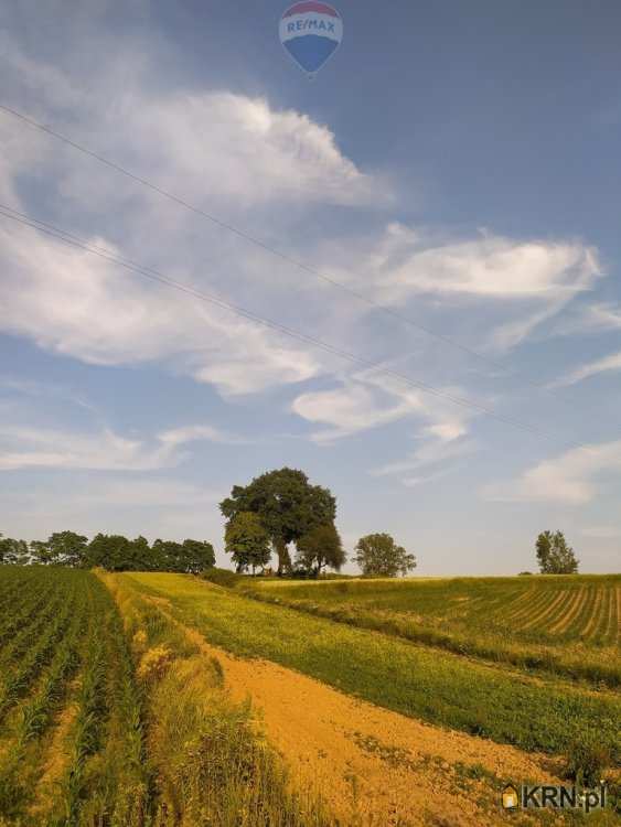 RE/MAX Polska, Działki  na sprzedaż, Stręgoborzyce, ul. 