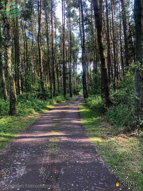 , Działki  na sprzedaż, Rusinowo, ul. 