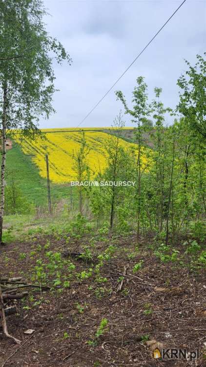 Działki  na sprzedaż, Michałowice, ul. Koźlica, 