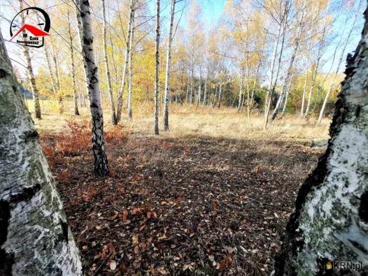 Czas Nieruchomości, Działki  na sprzedaż, Orle, ul. 