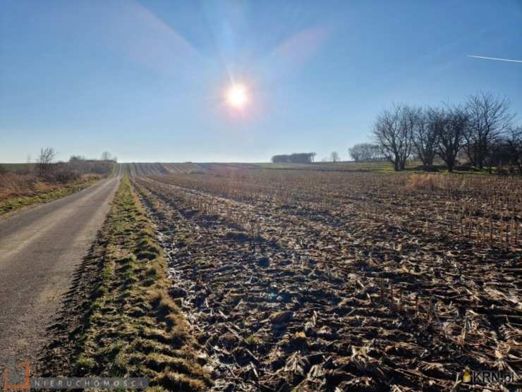 Działki  na sprzedaż, Owczary, ul. , 