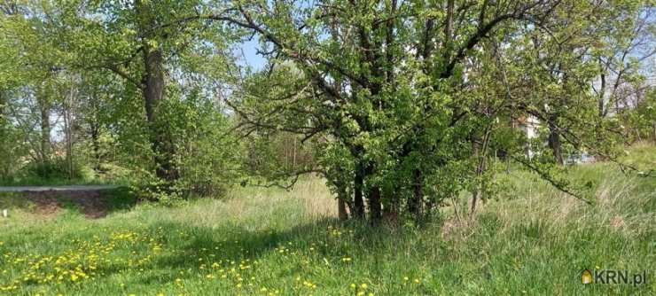 , Bolków, ul. , Działki  na sprzedaż