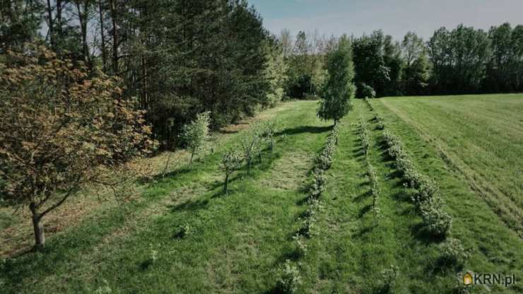 Działki  na sprzedaż, , Mokra Wieś, ul. 