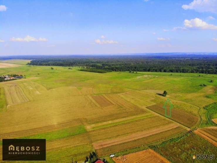 Działki  na sprzedaż, Niepołomice, ul. , 