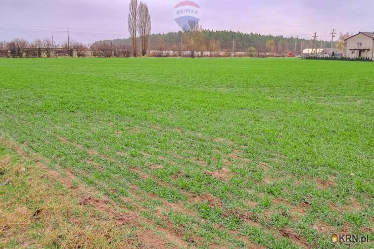 , Działki  na sprzedaż, Świnice Warckie, ul. 