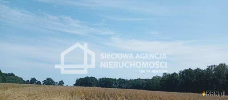 Sieciowa Agencja Nieruchomości Grupa Renoma, Działki  na sprzedaż, Wilkowo Nowowiejskie, ul. 