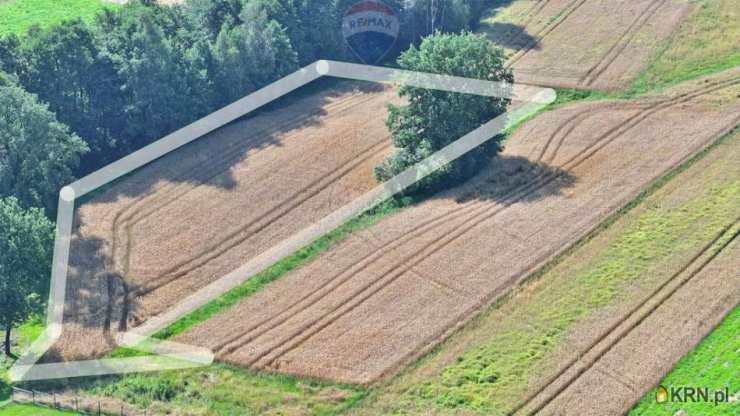 Działki  na sprzedaż, , Czaniec, ul. 