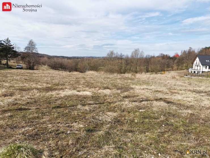 Działki  na sprzedaż, Raciborsko, ul. , 