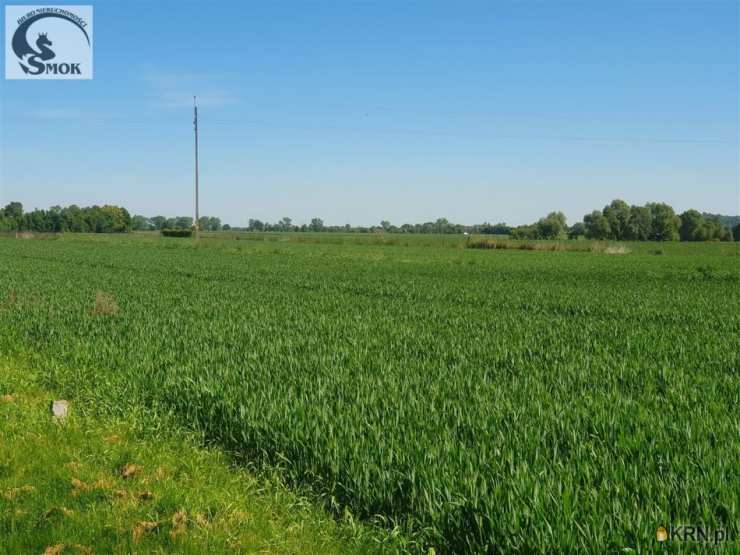 Biuro Nieruchomości SMOK Mateusz Góral, Działki  na sprzedaż, Książnice, ul. 