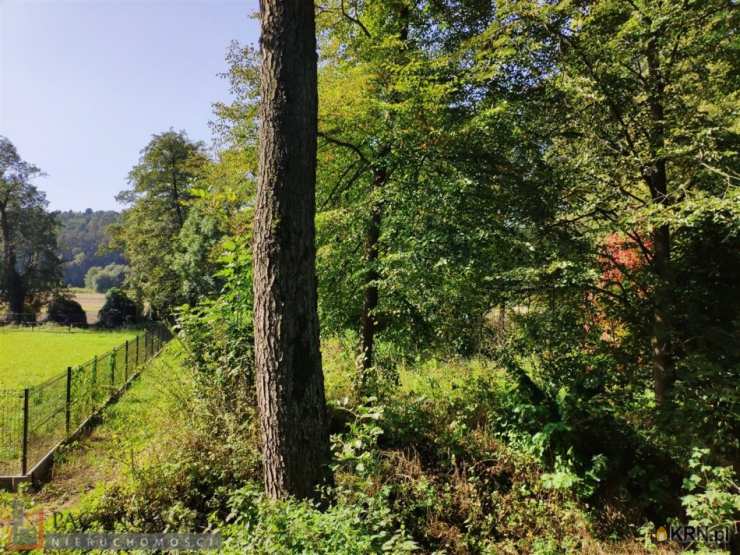 Działki  na sprzedaż, Januszowice, ul. , 