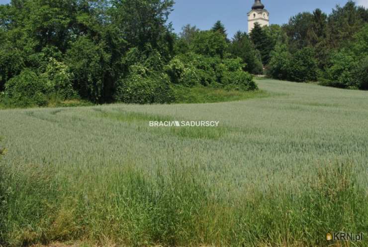 Działki  na sprzedaż, Brzezie, ul. , 