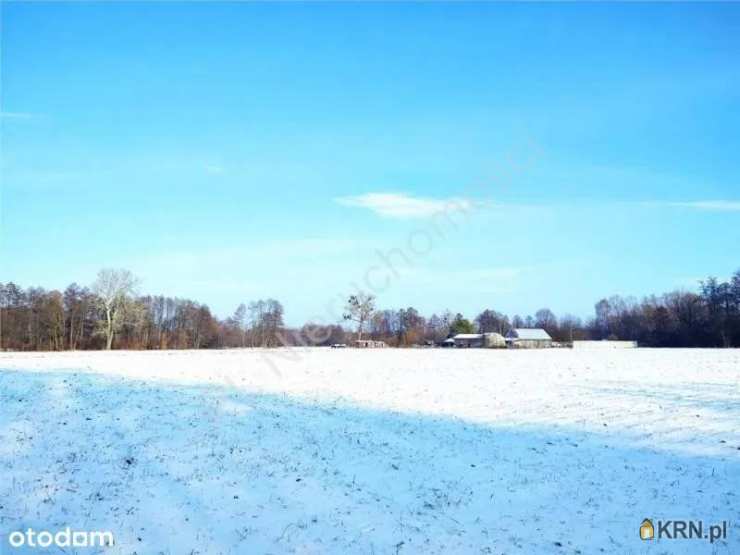 Holendry Baranowskie, ul. , Działki  na sprzedaż, 