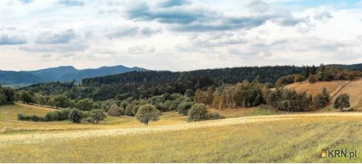 Działki  na sprzedaż, , Sierpnica, ul. 