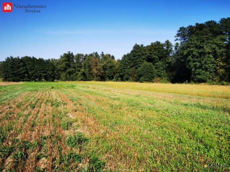 Działki  na sprzedaż, Zakrzów, ul. , 